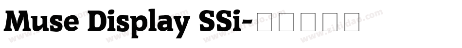 Muse Display SSi字体转换